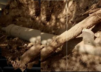 Oldest Firearm In The USA Found In Arizona