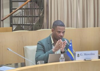 Parliamentarian Calmes calls for apology from Mercelina over controversy