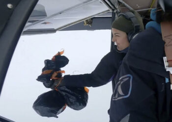 Pilot in Alaska air drops turkeys for residents in remote homes who can't run out to a grocery store