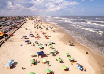 Quality of Brazil's Beaches at Worst Level Ever Recorded - 23/12/2024 - Science and Health
