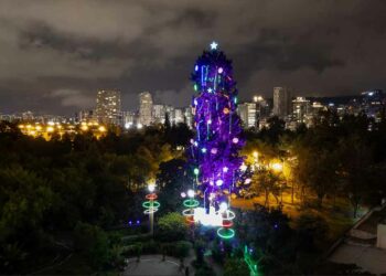 Quito celebra la Navidad con el árbol vivo más alto de América