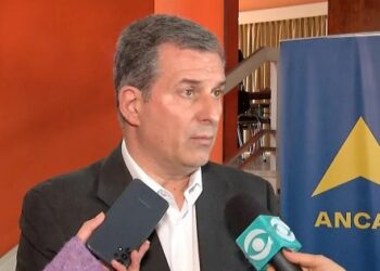 Stipanicic resigns as president of Uruguay's Ancap — MercoPress
