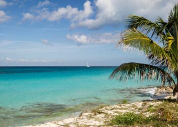 Surge of debt-for-nature swaps brings true scalability closer