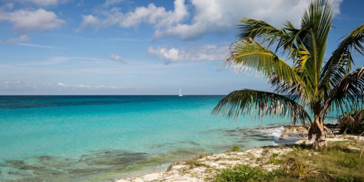 Surge of debt-for-nature swaps brings true scalability closer