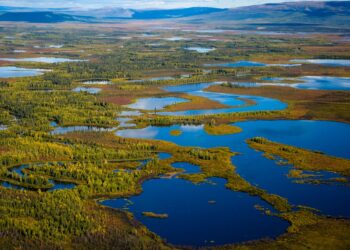 The Bering Land Bridge may have resembled Alaska’s present-day Kanuti National Wildlife Refuge, according to researchers who presented at AGU.
