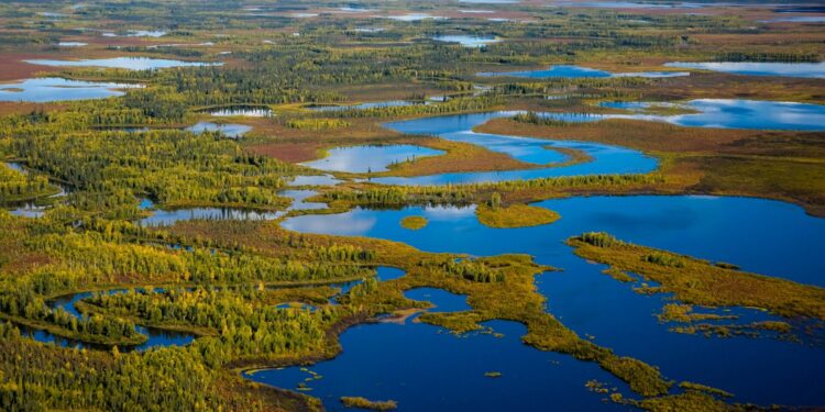 The Bering Land Bridge may have resembled Alaska’s present-day Kanuti National Wildlife Refuge, according to researchers who presented at AGU.
