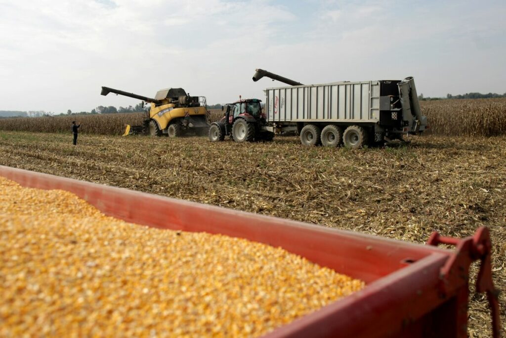 US Wins Dispute With Mexico Over Genetically Engineered Corn