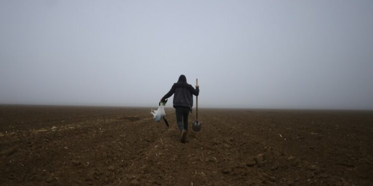 US farmers fret over Trump's deportation plans