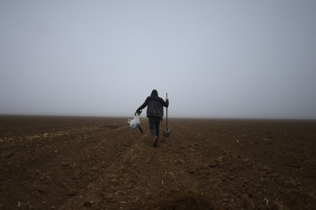 US farmers fret over Trump's deportation plans