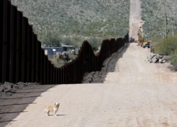 What to know about new US ambassador to Mexico, Ron Johnson