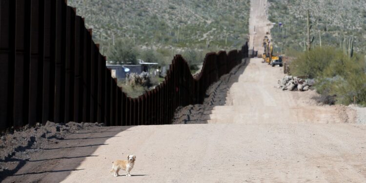 What to know about new US ambassador to Mexico, Ron Johnson