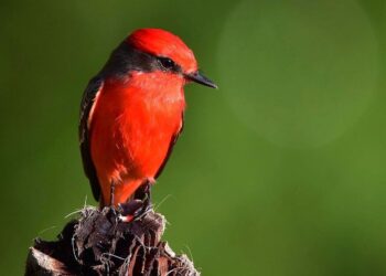 Why This Under-The-Radar Central American Destination Should Be On Your Travel List