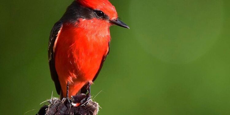 Why This Under-The-Radar Central American Destination Should Be On Your Travel List