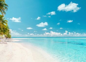 World of Cruising | Cruise your way around the Caribbean with Holland…