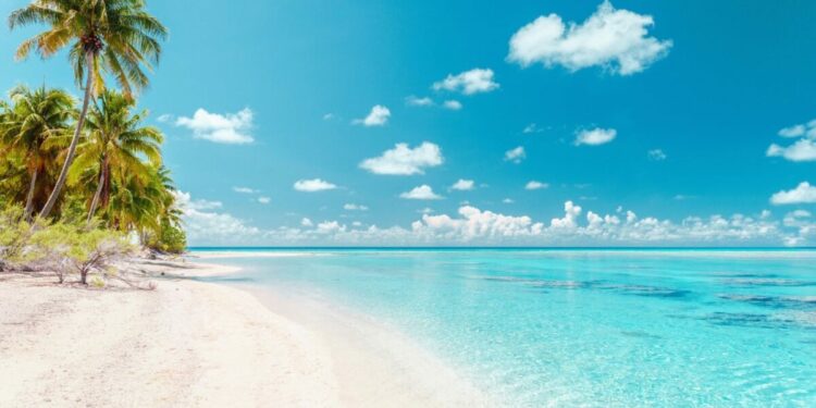 World of Cruising | Cruise your way around the Caribbean with Holland…