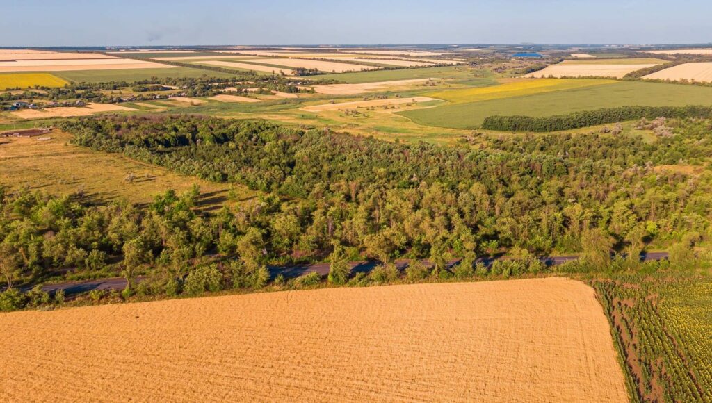 Paraguay soja deforestación importada UE