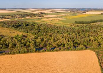 Paraguay soja deforestación importada UE