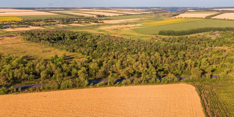 Paraguay soja deforestación importada UE
