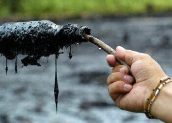 12 casos ‘enquistados’ en la Corte Constitucional sobre violación a los derechos humanos y el medio ambiente