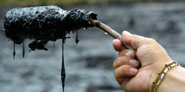 12 casos ‘enquistados’ en la Corte Constitucional sobre violación a los derechos humanos y el medio ambiente