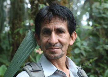 The rights of nature prevail again in this Ecuadorian forest