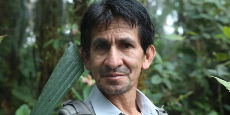The rights of nature prevail again in this Ecuadorian forest