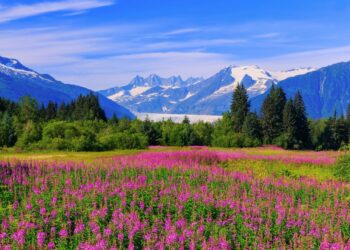 A traveler who has been to all 50 states shares the top 5 states first-time travelers to the US must visit