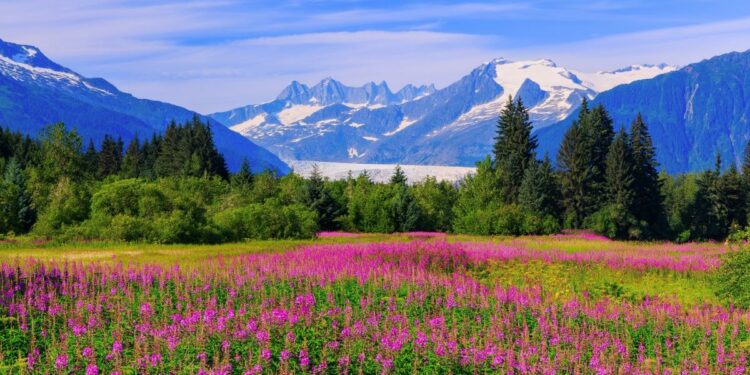 A traveler who has been to all 50 states shares the top 5 states first-time travelers to the US must visit