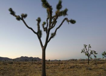 How many national mounuments are in California?