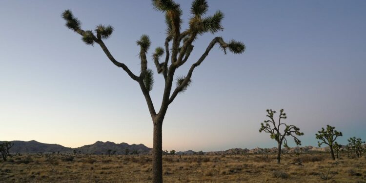 How many national mounuments are in California?