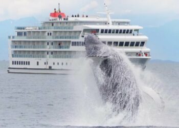 Largest Small-Ship US Cruise Line Will Double Alaska Presence