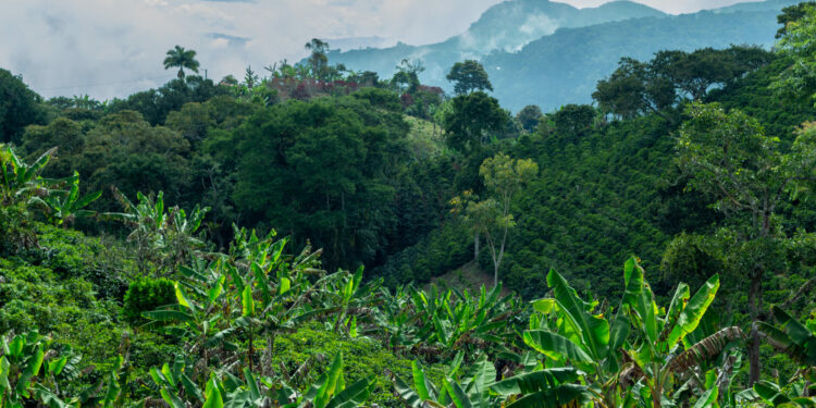 Can Colombia become an agrifoodtech powerhouse in 2025?