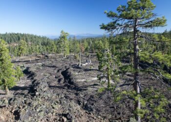 California tribes win big with 2 new national monuments