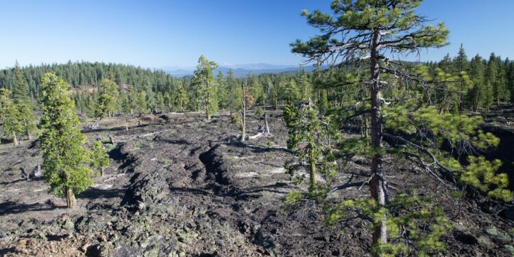 California tribes win big with 2 new national monuments