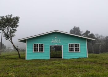 A New Mall for the Village: How Carbon Credits Impact Indigenous People in Guyana