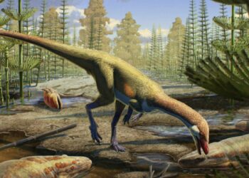 230 million-year-old dinosaur is oldest ever discovered in North America — and changes what we know about how they conquered Earth