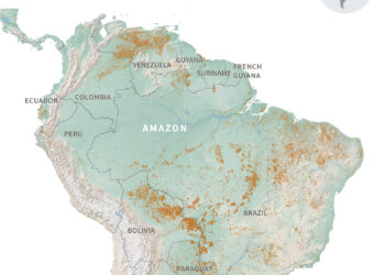 A Year Of Fires In South America