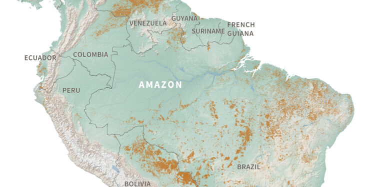 A Year Of Fires In South America