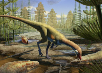 Newly Identified Dinosaur was the Size of a Chicken and May be Oldest in North America