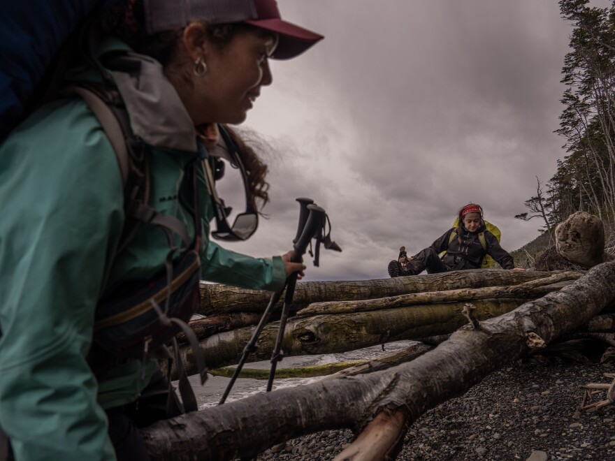 Members of the Cape Froward expedition group hike more than 5 miles from Cruz de los Mares to Río Nodales, dodging and climbing fallen trees that have blocked the path between the forest and the ocean, on Nov. 3, 2024.