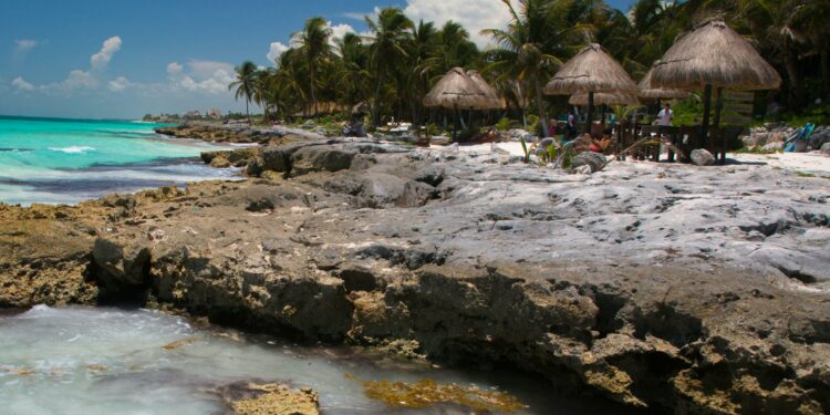 MSP airport has more warm weather flights than ever