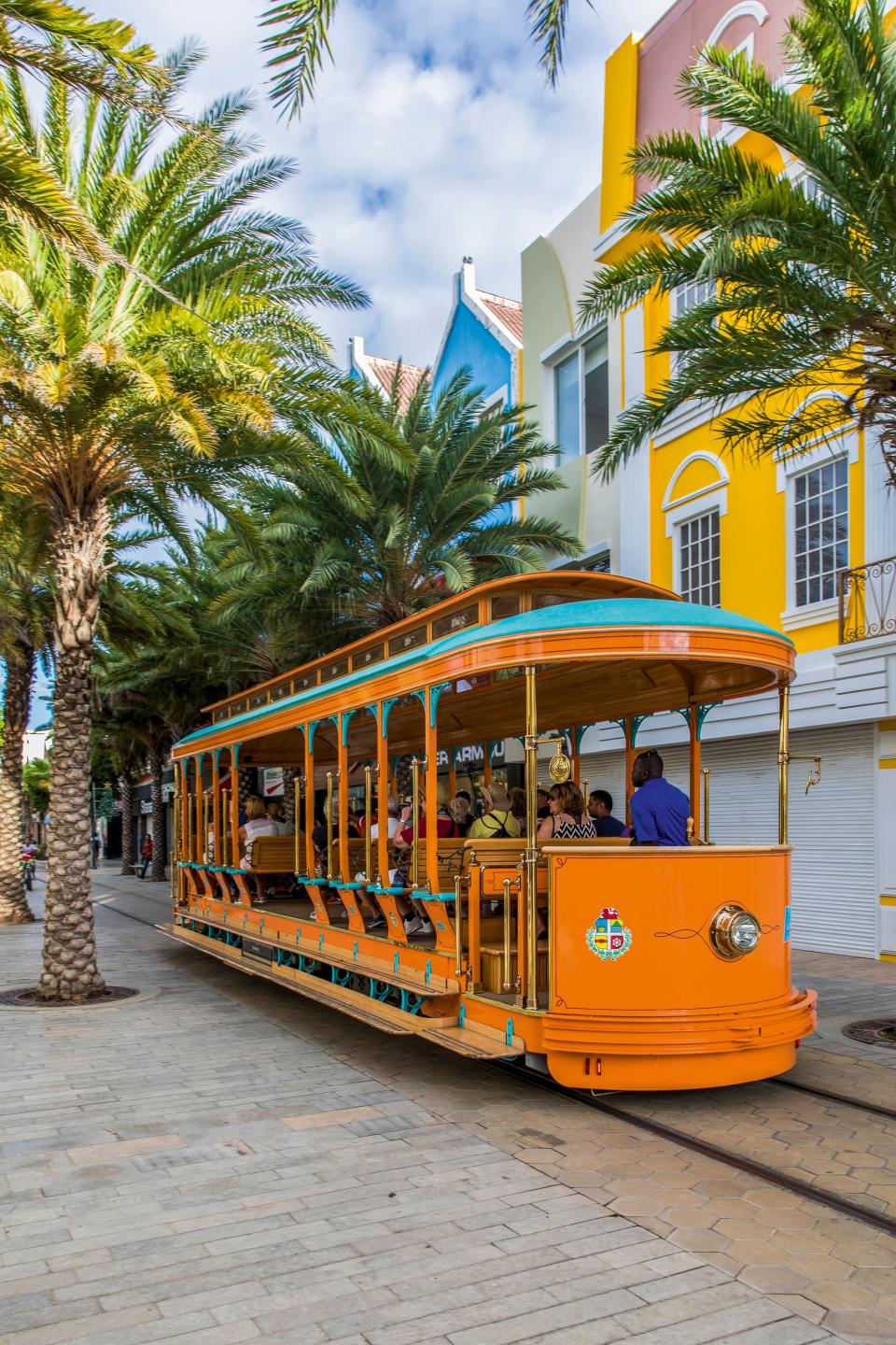 An open tram going down a palm-tree-lined street.