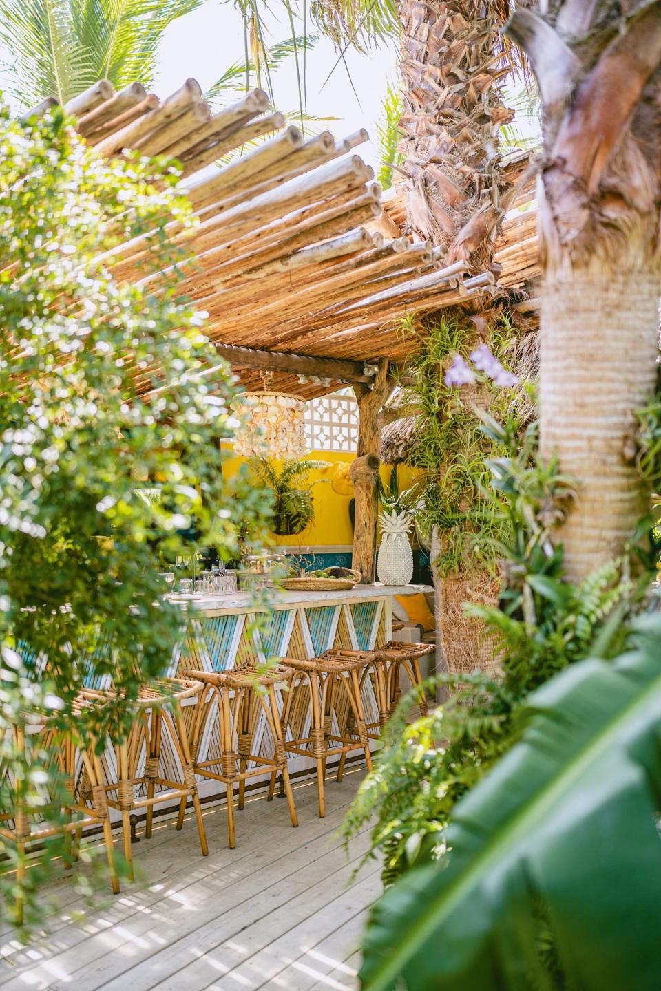 A Beach bar with bamboo canope and lots of decorative plants.