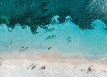 What to eat in Aruba, the Caribbean island where wahoo is king