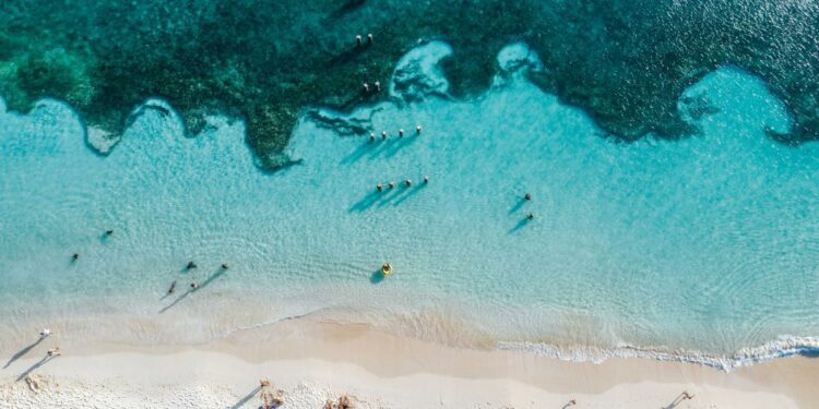 What to eat in Aruba, the Caribbean island where wahoo is king