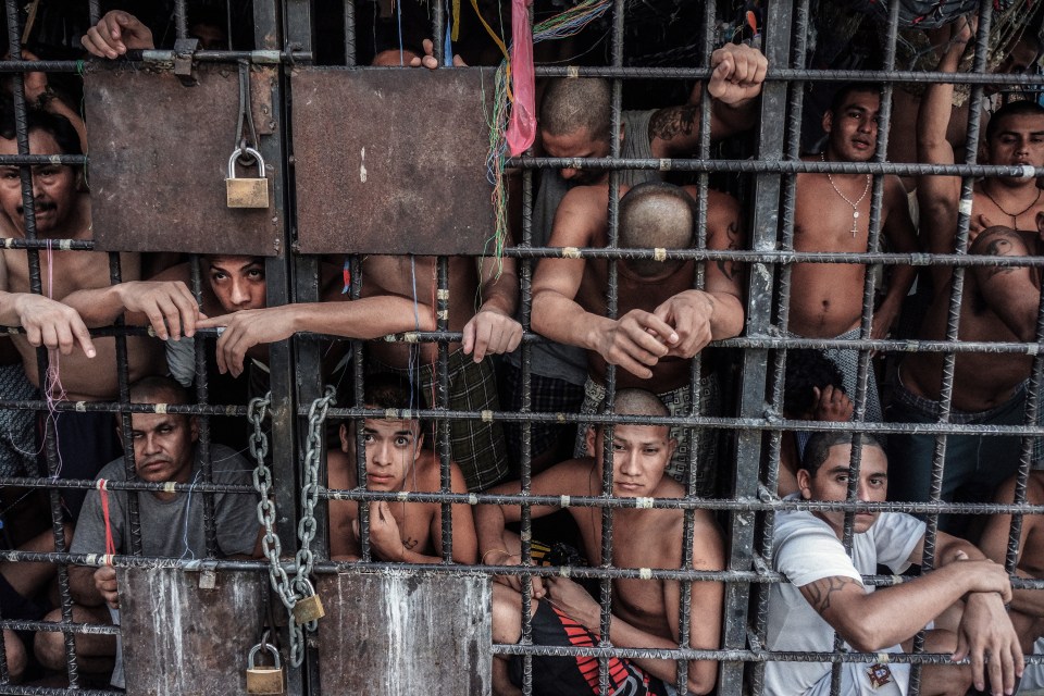 Overcrowded jail cell with numerous shirtless gang members behind bars.