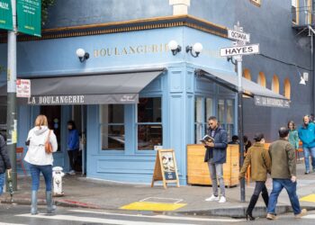 China's AI star shocks US tech sector