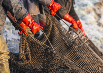 Alaska lawmakers propose creation of risk pool program for fishermen