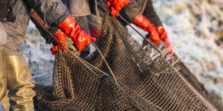 Alaska lawmakers propose creation of risk pool program for fishermen