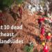 At least 10 dead in southeast Brazil landslides